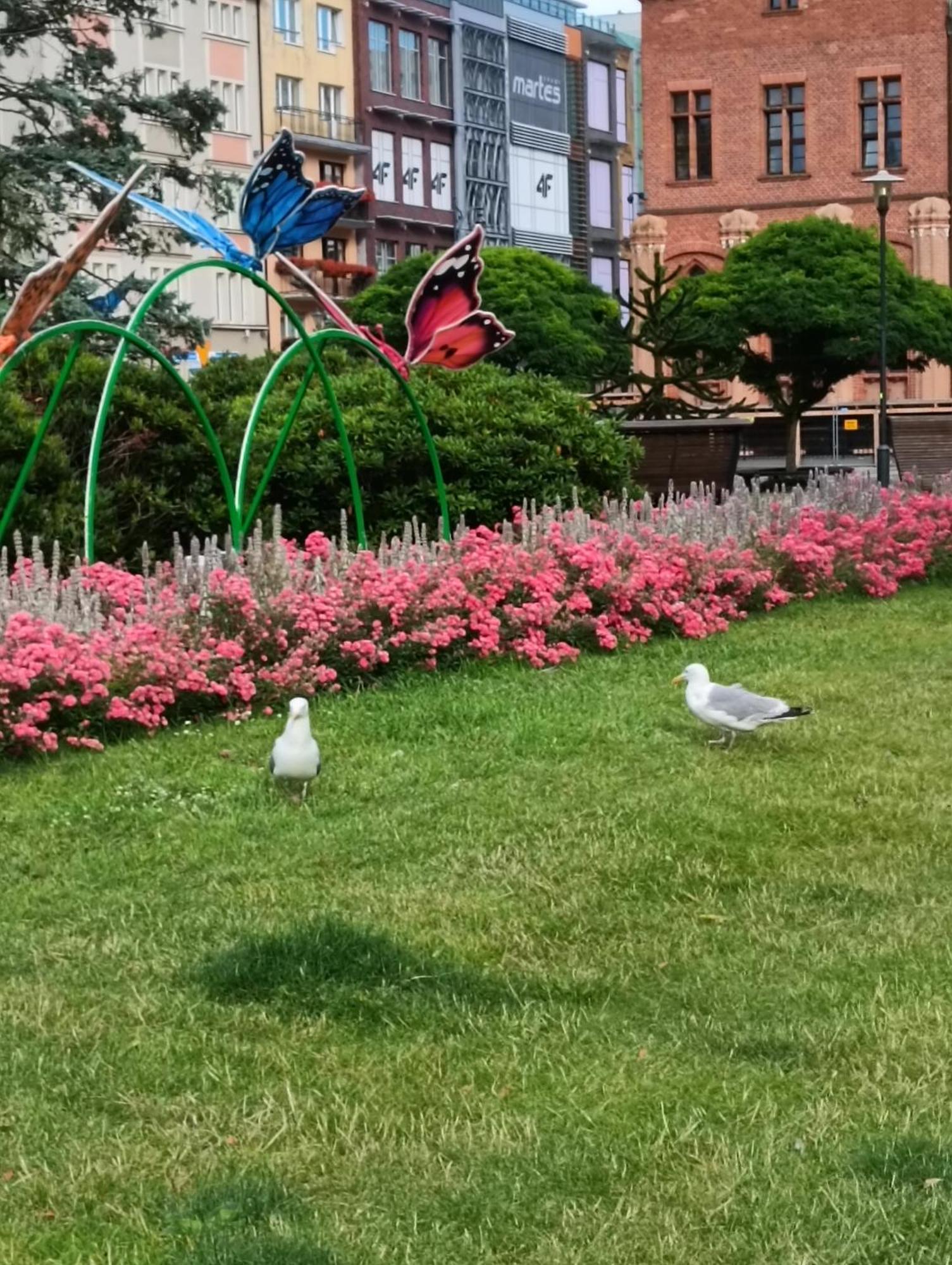 Apartament Ale Laba Kołobrzeg Kültér fotó
