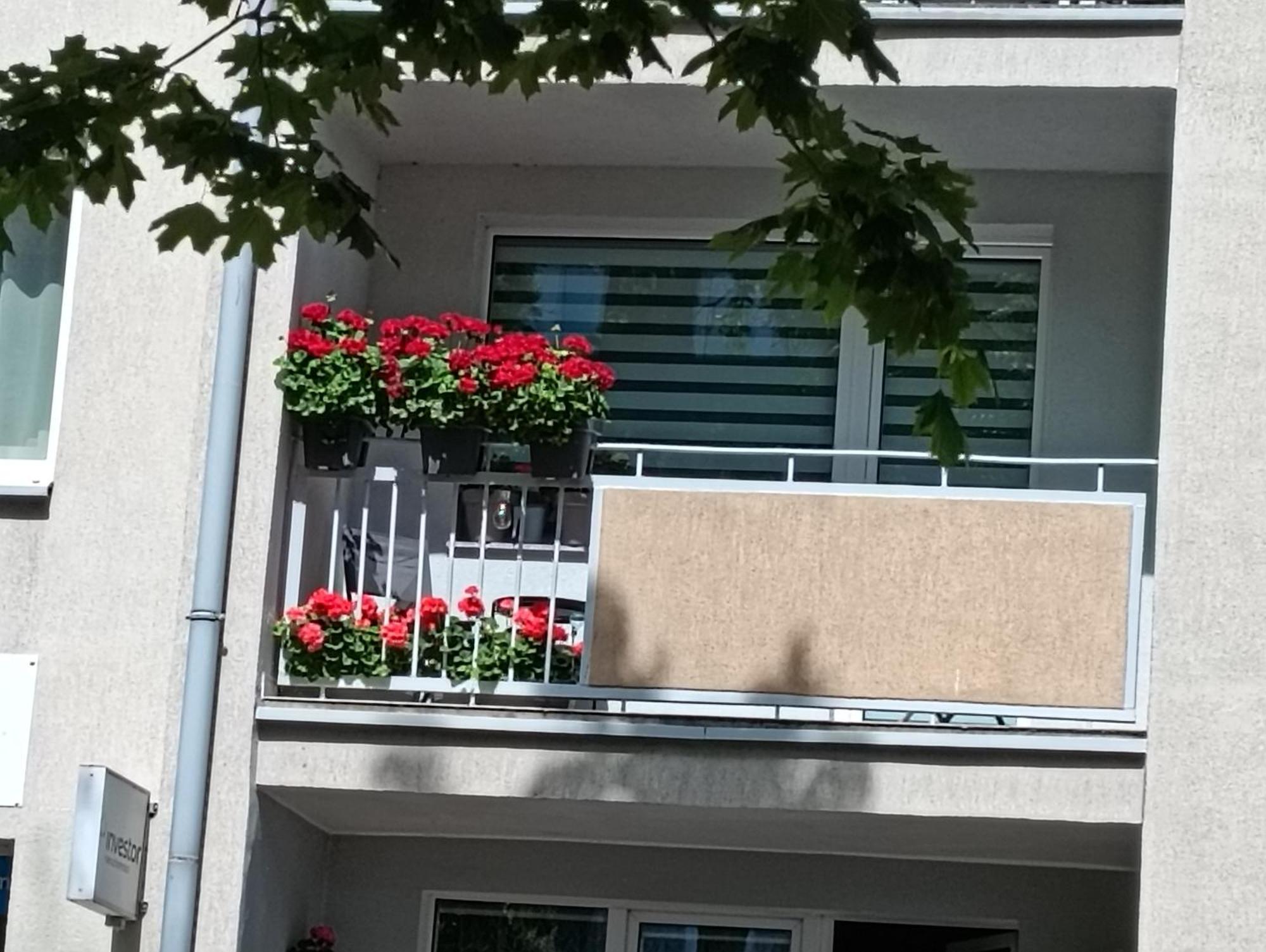 Apartament Ale Laba Kołobrzeg Kültér fotó