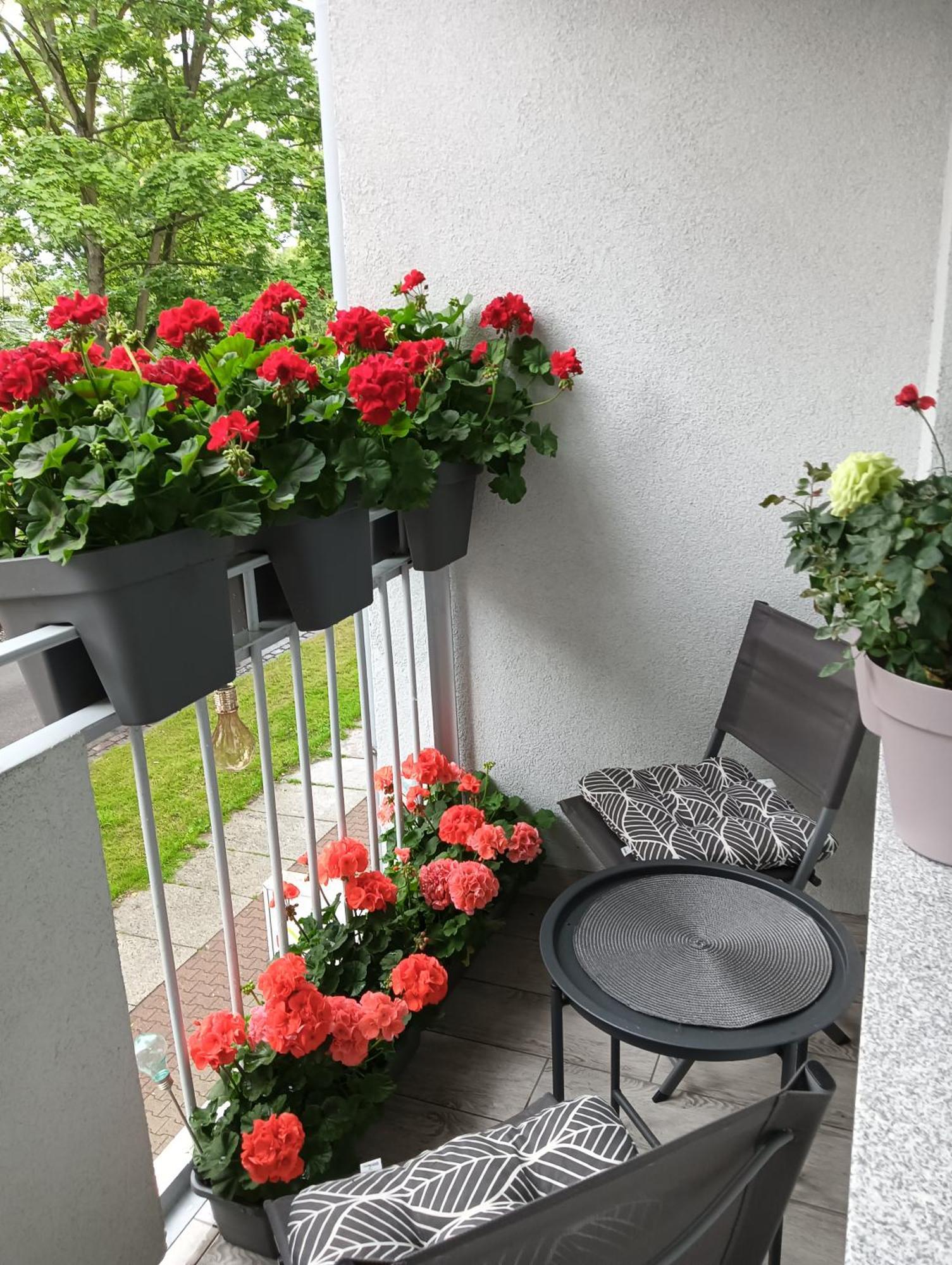 Apartament Ale Laba Kołobrzeg Kültér fotó
